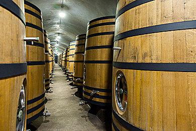 《潜行者2：切尔诺贝利之心》XS版空间或要180G